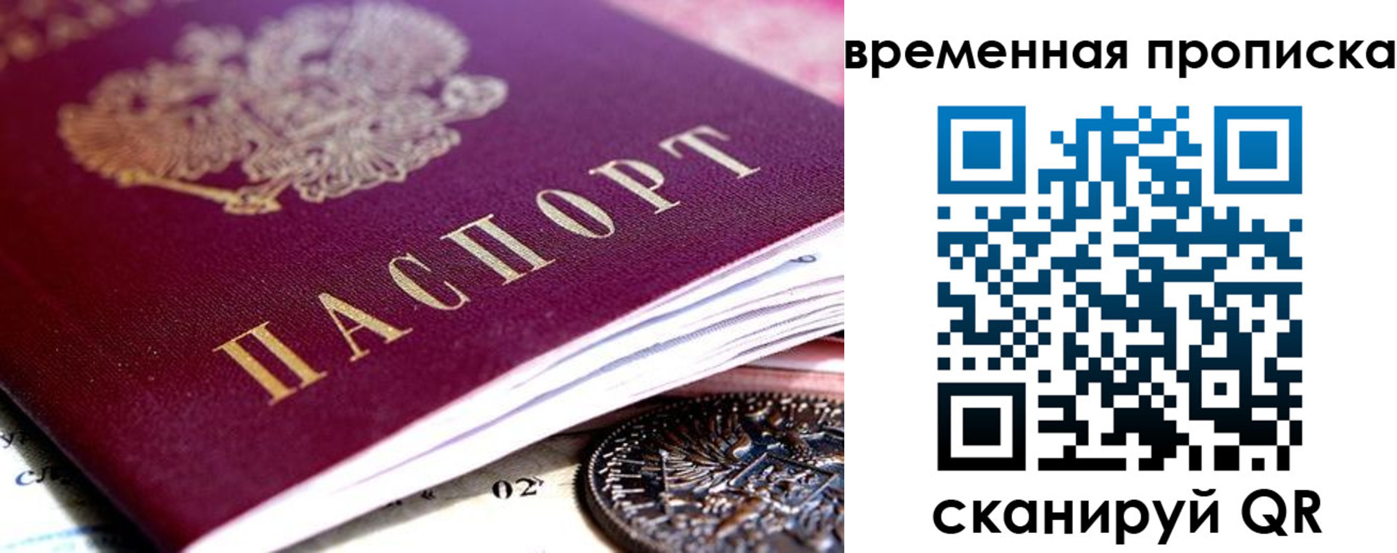 временная прописка в Нелидово